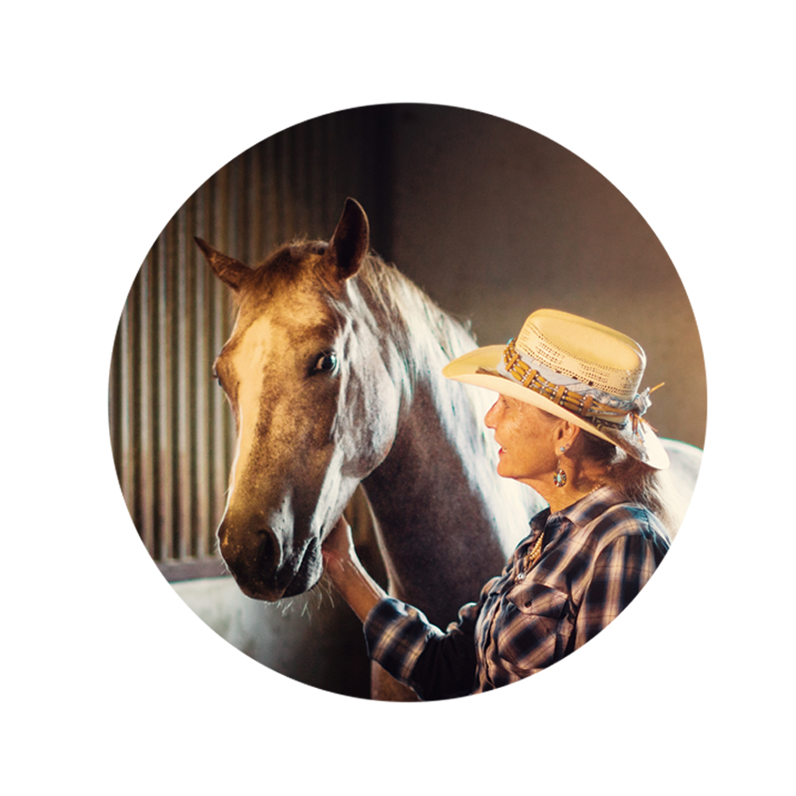 TKW_Content-onepager-Pferd3_v01.jpg Content_Bild_Pferd3
